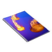 LIVRE NOTEBOOK DE LA LIAISON SPIRALE DE JELLYFISH (Côté Droit)