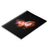 LIVRE UN DE RÉALITÉS DE MING : CARNET DE PAPILLON (Côté gauche)