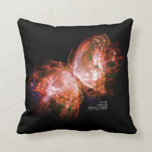 LIVRE UN DE RÉALITÉS DE MING : COUSSIN DE PAPILL