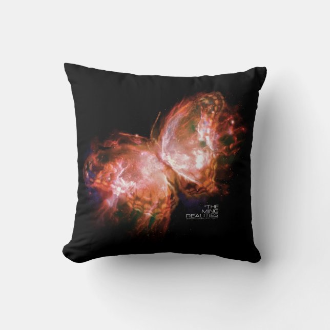 LIVRE UN DE RÉALITÉS DE MING : COUSSIN DE PAPILLON (Recto)