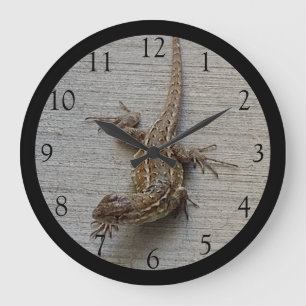 Lizard à tambour Bord Noir Grande horloge
