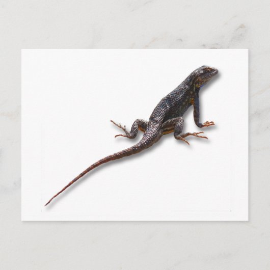 LIZARD BRIEFKAART (Voorkant)