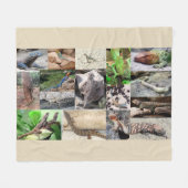 Lizard couverture photo couleur pleine (Devant (Horizontal))