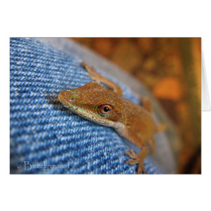 Lizard d'Anole Verte