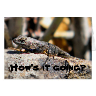 Lizard demande "comment ça va"