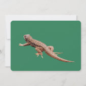 Lizard Flat Kerstkaart (Voorkant)