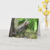 Lizard Hello carte blanche (Fleur jaune)