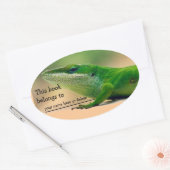 Lizard Lover Anole Book Sticker (Envelop)