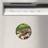 Lizard Magnet (In Situ (Lave-vaisselle))