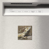 Lizard Magnet (In Situ (Lave-vaisselle))