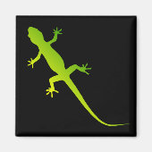 Lizard magnet magneet (Voorkant)