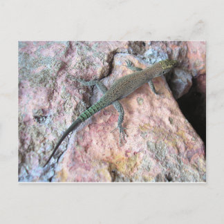 Lizard op de muur briefkaart