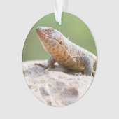 Lizard plaqué (devant)