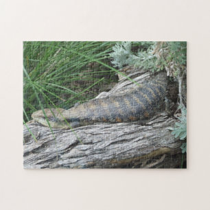 Lizard Puzzle Blue-tongued Legpuzzel