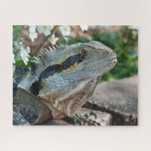 Lizard Reptile Eastern Water Dragon Legpuzzel