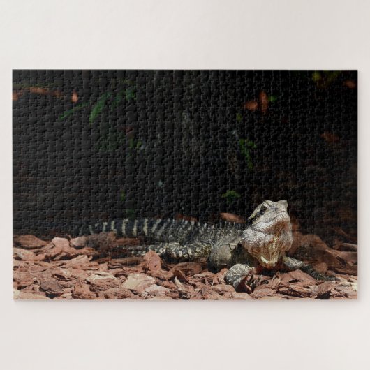 Lizard Reptile - Eastern Water Dragon Legpuzzel (Horizontaal)