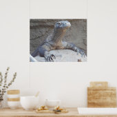 Lizard, Reptile, Kimono Dragon Nature Wall Poster (Cuisine)