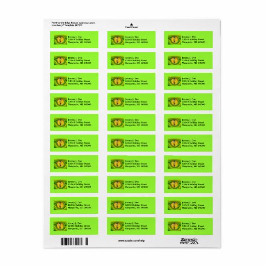 Lizard reptilian Eye reptile Retouradres Labels (Full Sheet)