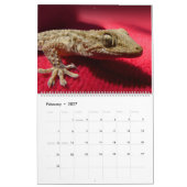 Lizard Thème Mur Calendrier 2025 Cadeau (Feb 2027)