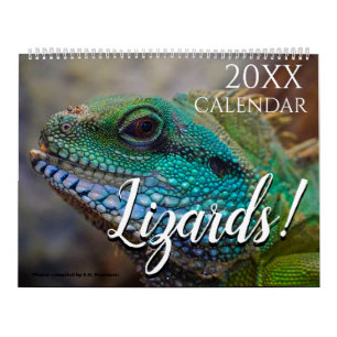 Lizard Thème Mur Calendrier 2025 Cadeau