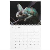 Lizard Thème Mur Calendrier 2025 Cadeau (Jan 2027)