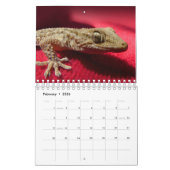 Lizard Thème Mur Calendrier 2025 Cadeau (Feb 2026)