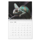 Lizard Thème Mur Calendrier 2025 Cadeau (Jan 2026)