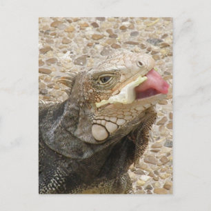 Lizard Tongue Briefkaart