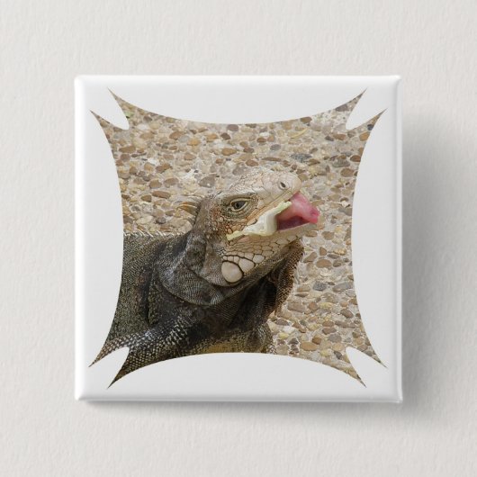 Lizard Tongue Square Pin Vierkante Button 5,1 Cm (Voorkant)