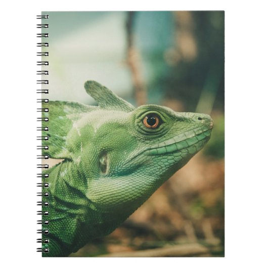 Lizard watch close-up eye uitzicht notitieboek (Voorkant)