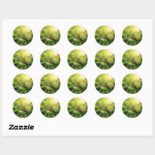 Lizards Frogs Oerwoud Reptielen Landschap Ronde Sticker (Vel)
