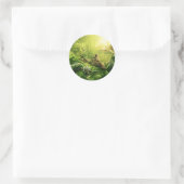 Lizards Frogs Oerwoud Reptielen Landschap Ronde Sticker (Tas)