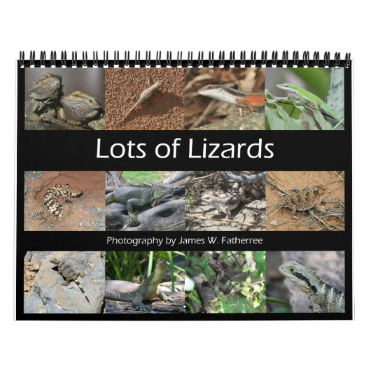 Lizards Wall Calendar van J.W. Fatherree. Kalender (Hoes)