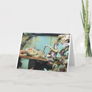 LIZARDS ZEGGEN *COUNT ME IN* OP BIEDDAG CELEBRATIN KAART