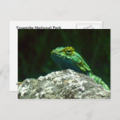 Lizz Briefkaart (Voorkant / Achterkant)