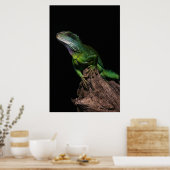 Lizzard Poster (Keuken)