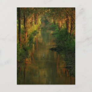 Ljubljana Moors Briefkaart