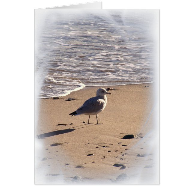 Lkes Long Walks on the Beach... (Devant)