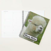 Llama (Devant avec enveloppe)