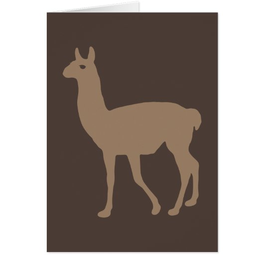 Llama (Devant)
