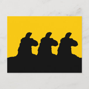 Llama: 3 zwart-wit lam briefkaart