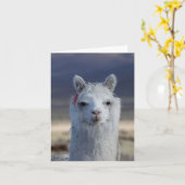 Llama Alpaca blanc fermer la carte de note de la t (Fleur jaune)