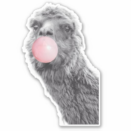 Llama Alpaca Blowing Bubble Gum Schattige Sticker (Voorkant)