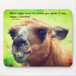 Llama Anger Management Quote Inspirerend Muismat