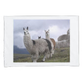 Llama Animal Custom Destiny's Destiny Kussensloop (Voorkant-Rechts)