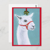 Llama avec Mistletoe Christmas Carte postale de No (Devant / Derrière)