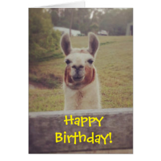 Llama Birthday Card