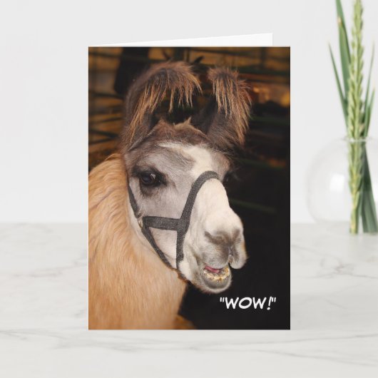 Llama Birthday Card Kaart (Voorkant)