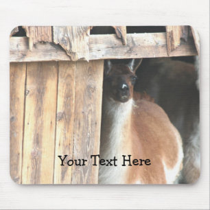  Llama Boerderij Animal Mousepad Muismat