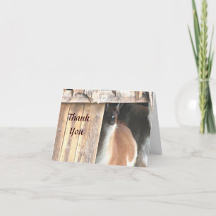  Llama Boerderij Dier Hartelijk dank Bedankkaart